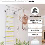 ДСК "ДСК 3.1" (11.21.7.13.490.05.06-24.2) серый/жёлтый